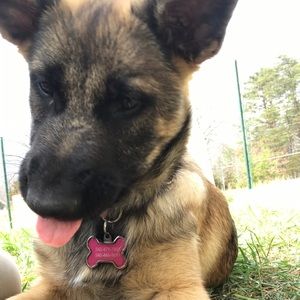 Meet your Posher, Valentina